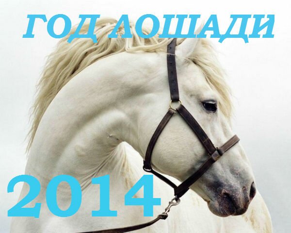 2026 лошадь